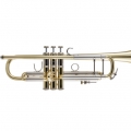 19037 Professional Trumpet