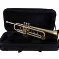 BTR311 Trumpet on top of Case