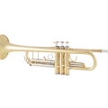 BTR311 Trumpet Right