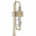 Bach 19043 Professional Trumpet