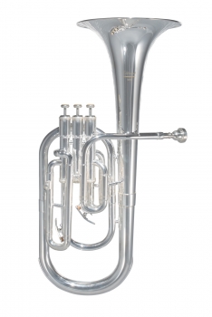 image of a 100THS Student Tenor Horn