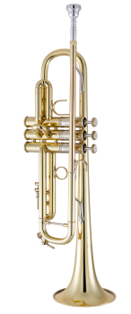 image of a 19072X Professional Bb Trumpet
